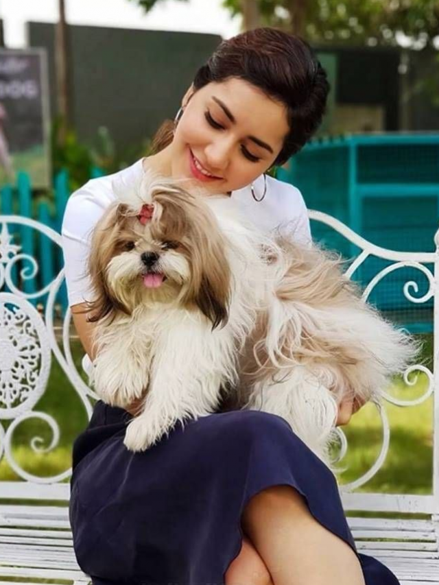 Tollywood Actresses and Their Adorable Dogs
