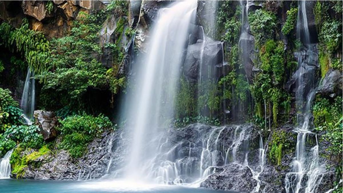 Discover Telangana's Top 20 Most Breathtaking Waterfalls: A Journey into Nature's Beauty