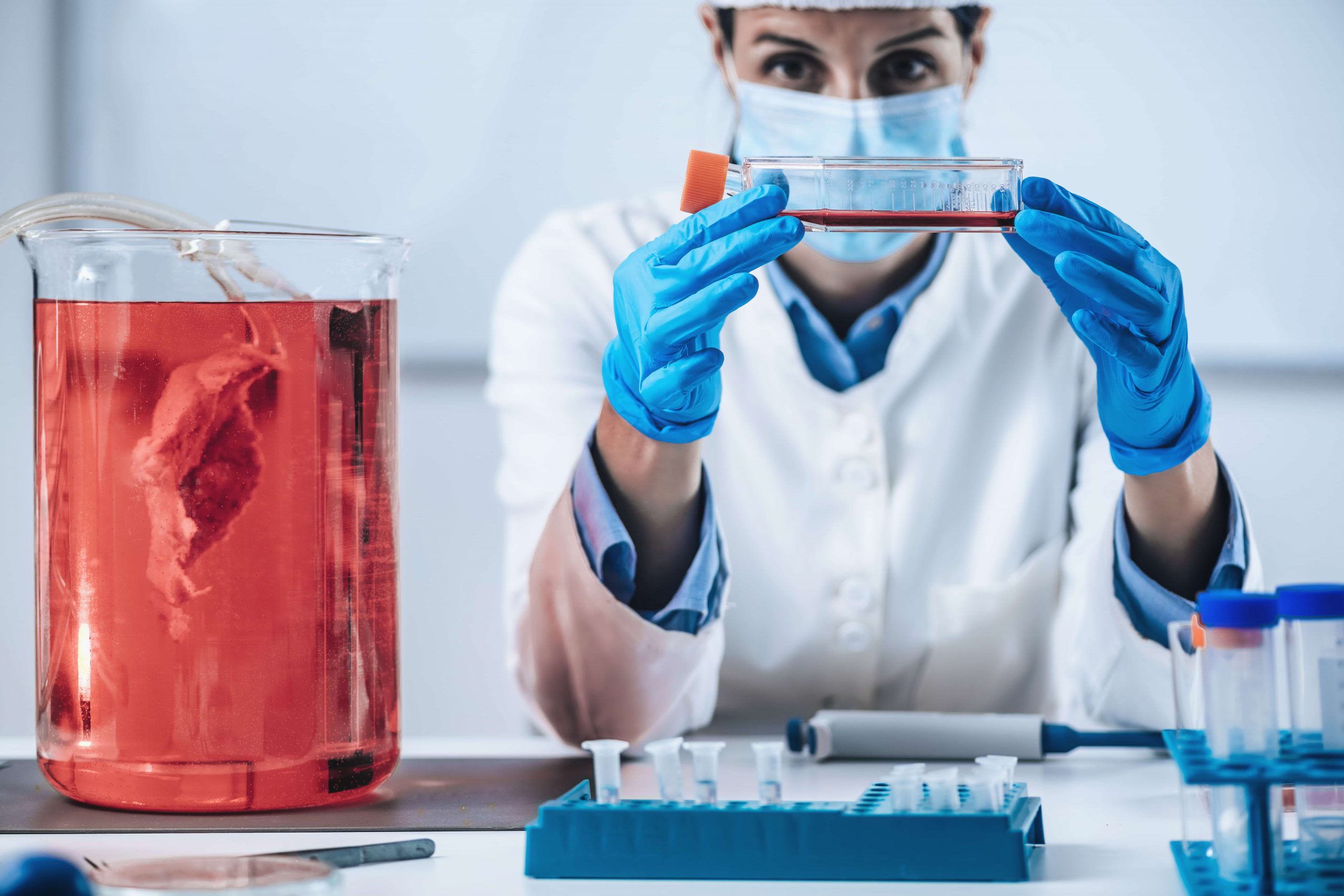 scientist-analyzing-cultured-artificial-meat-sampl-2021-08-28-17-59-31-utc-min