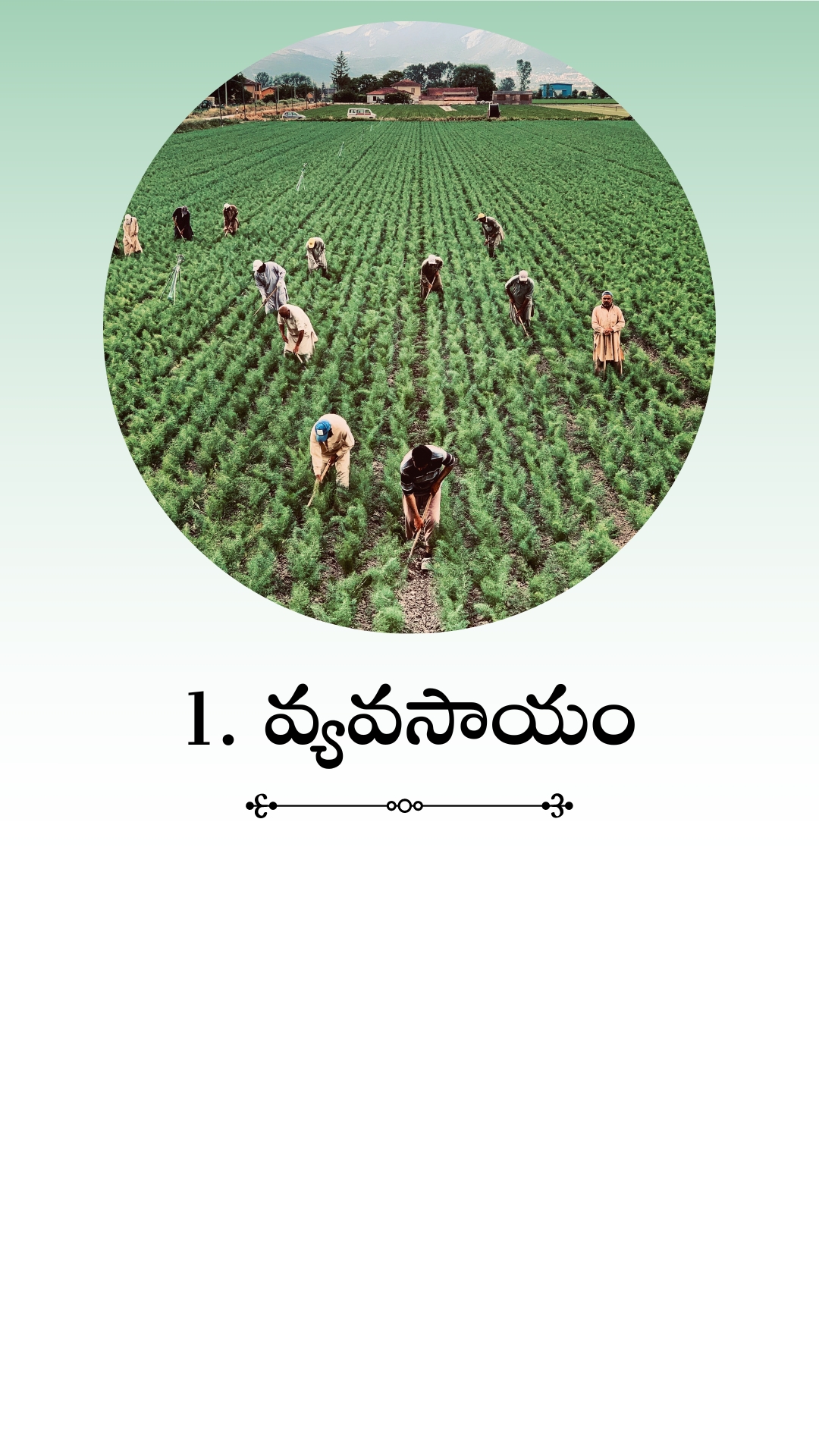 agriculture 3