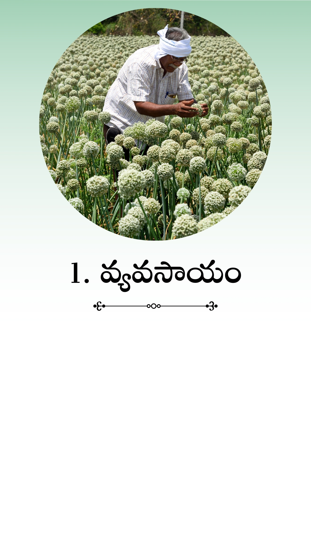 agriculture 2