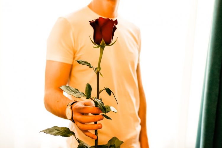 ws_rose-750x500