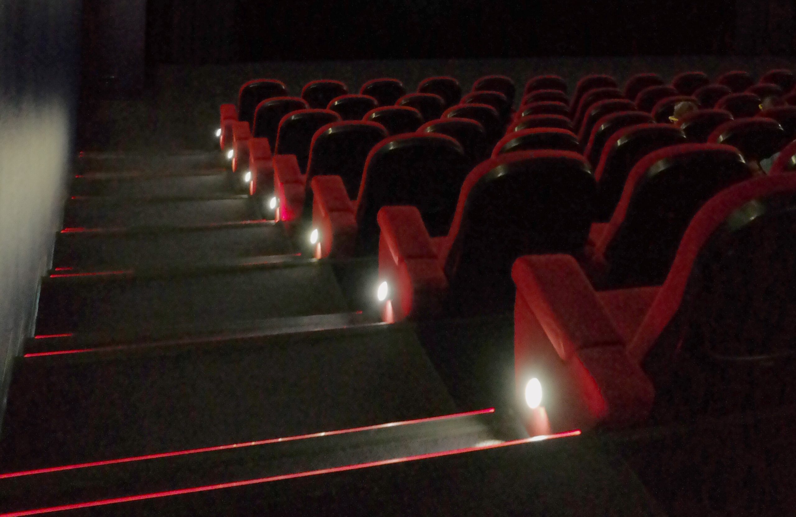 ws_goes-to-the-movies-2022-11-16-10-59-54-utc