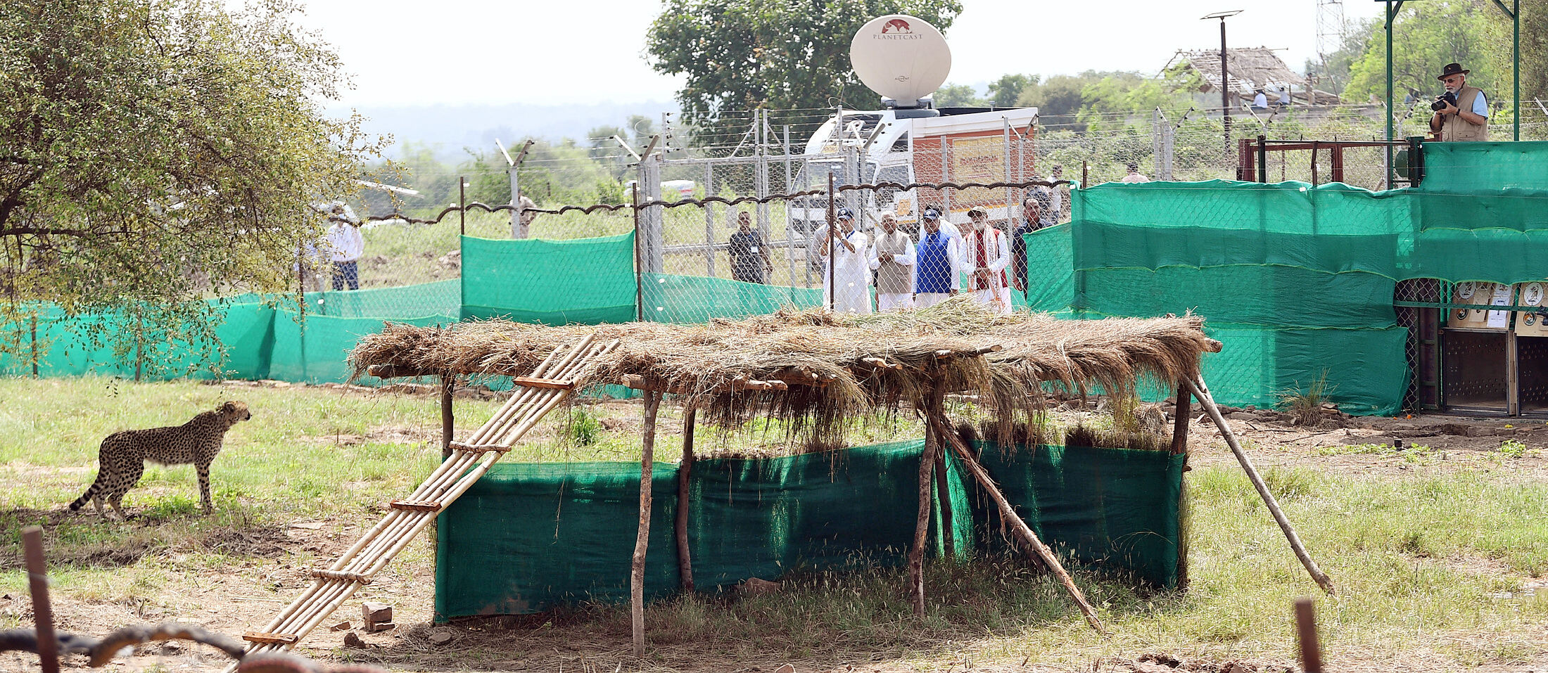 Narendra Modi releases wild Cheetahs in Kuno National Park