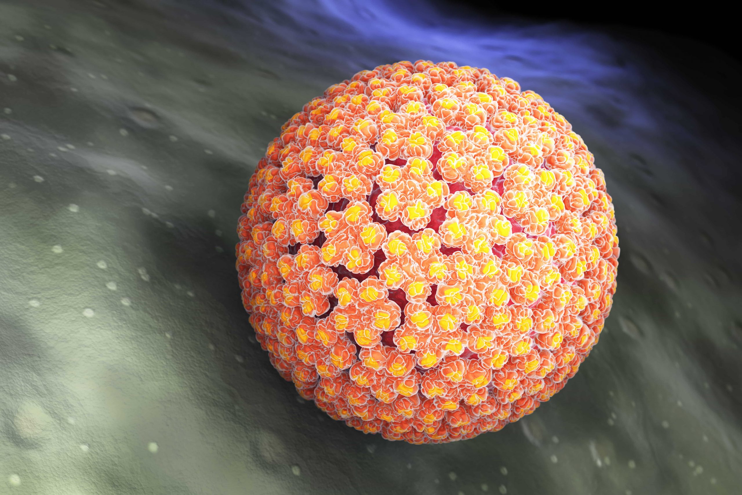papilloma-virus-hpv-2021-08-26-15-33-01-utc-min