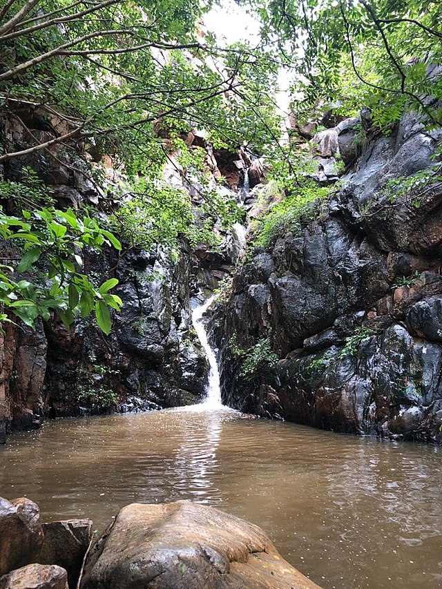 ws_Veyilingala_Kona,_Chittoor_district_Andhra_Pradesh_India