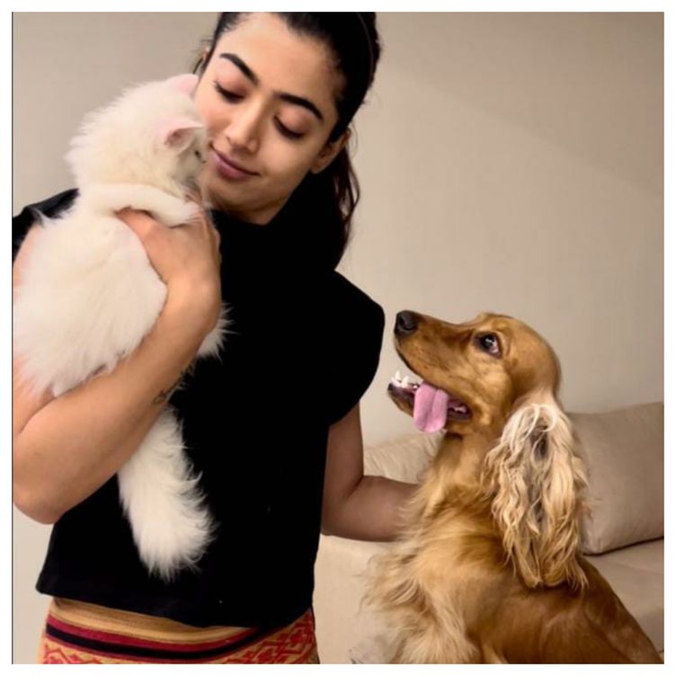 ws_rashmika_mandanna_pets